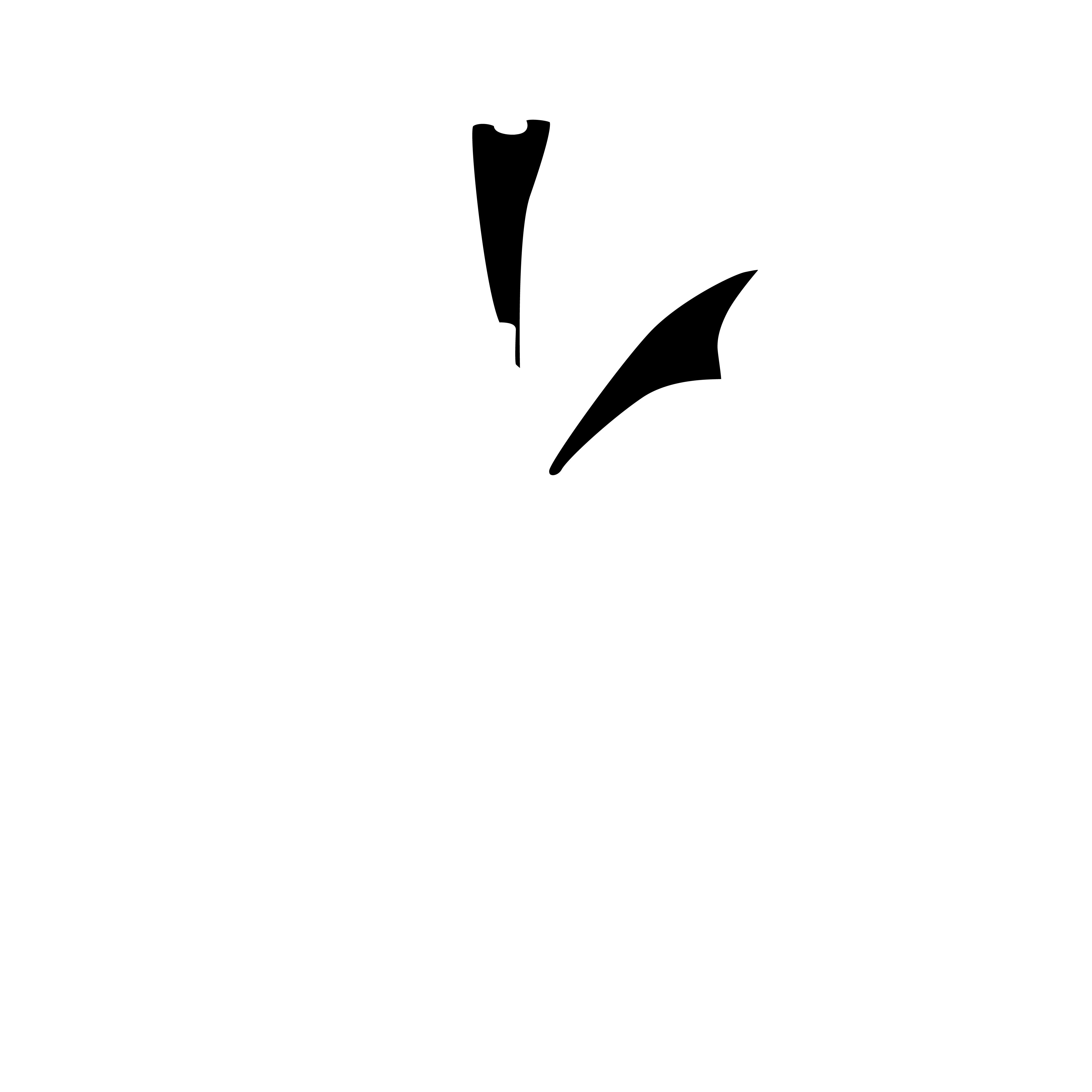 Professional Branding Botswana sponsor